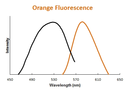 Orange Fluorescence Data
