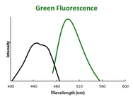 Fluorescent Spectrum Data