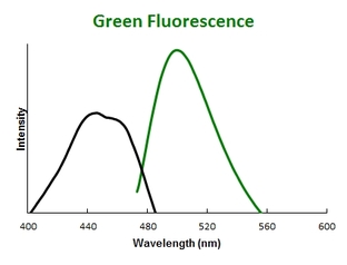 Green Fluorescence Data